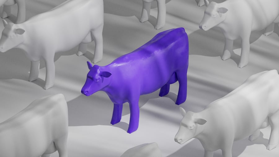 Purple Cow